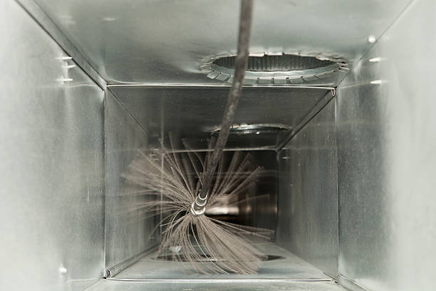 Best Professional Duct Cleaning Services  in West View, PA