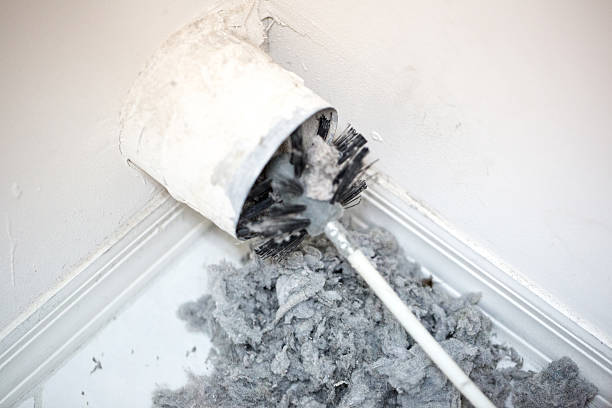 Best HVAC System Cleaning  in West View, PA